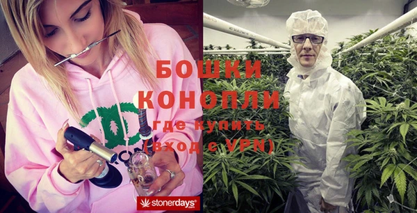 каннабис Беломорск